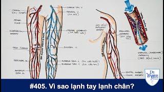 #405. Lạnh tay lạnh chân có thể là dấu hiệu của những bệnh nguy hiểm