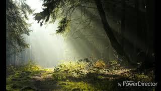 Step 2 Guided Meditation Openmindedness and Hope