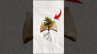 How to grow plants in book  #shorts