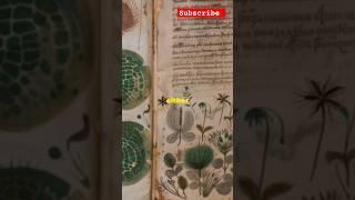 The unsolvable mystery of voynich manuscript #manuscripts #voynichmanuscript #plants