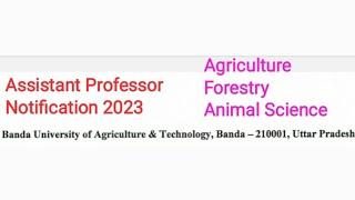 Assistant Professor Jobs 2023