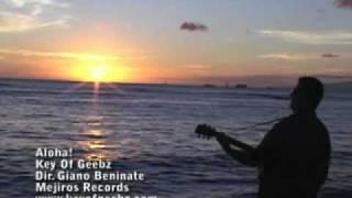 Aloha To The World - Fusion Slack Key Guitar Instrumental - Geebz del Barrio