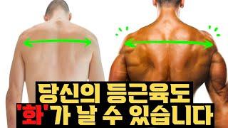 논문으로 알아보는 가장 효과적인 등근육 운동 (feat. 근전도검사)