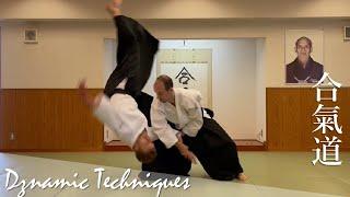 Dynamic Aikido Training & Weapon Variations