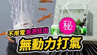 魚缸救星！不用插電，不用電池，停電也能照樣打氣 Free Energy Fish Tank , Air Pump Without Electricity