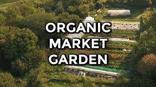 Market Garden at Ragmans Lane Farm - Permaculture Farm