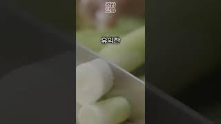 속이 자꾸 쓰리다면? 위 건강에 좋은 음식