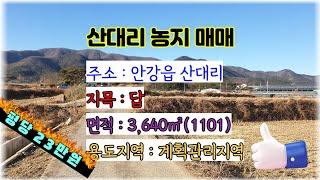 434 산대리 농지매매 안강과 가까운 안강농지 매매 차량이 논에 진입이 가능한 경주 농지매매 경주부동산 안강부동산 지목부동산