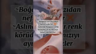 ~Soft bilgiler~ yanlış bilinen 5 bilgi