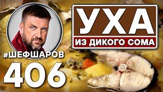 Уха из дикого сома. Рыбный суп. #шефшаров #500супов #русскаякухня #куриныйсуп #рыбныйсуп #уха