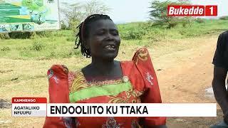 Agataliikonfuufu: Endooliito ku ttaka, Waliwo abantu abeekubidde enduulu  Waliwo Balyeesenzako