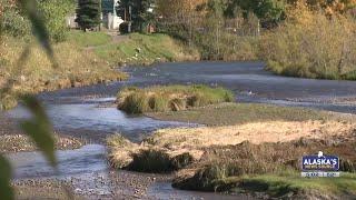 The Status of Ship Creek Silvers