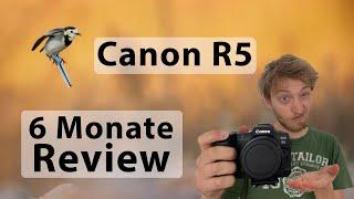 Canon R5 Review (Deutsch): Canons beste Kamera? Update nach 6 Monaten Nutzung