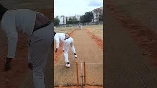 Batsman Smashes a Incredible Straight Six #sixers #incredibleshots #cricket