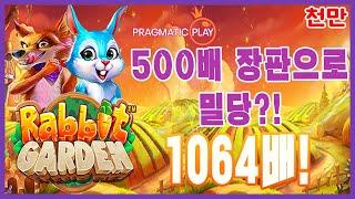 [슬롯][추천슬롯] 프라그마틱 - 래빗가든 주려면 빨리주지! 발칙한 내숭 500단! [인기슬롯][슬롯영상][대박이]