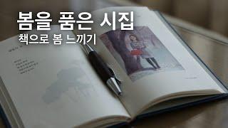 봄에 읽기 좋은 시집, 집콕 책 추천 "꽃을 보듯 너를 본다"