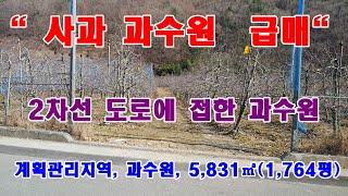 903. 청정지역 과수원 매매 합니다. 경북 포항시 죽장면 감곡리 사과 과수원 매매 합니다.