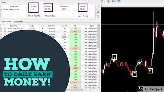 How To Earn Daily Money From Auto Copy Trading | IQ Option Copy Trading | Connect MT2  To IQ Option