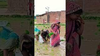 #geet #lokgeet #dance #sohar #dehati #folksong #song #bhajan #bhojpuri #vivahgeet