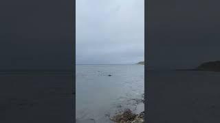 Встать по среди океана это очень очень не приятно !
