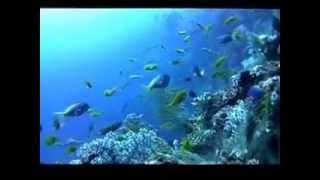 Yacht Seagoon Sailing Papua New Guinea