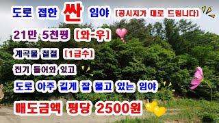 166 [싼 임야] 공시지가대로 드립니다. 도로.전기.계곡물철철 임야[귀한임야]