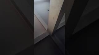 #viralvideo  #short  chandan nishad #youtubeshorts 