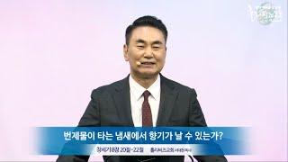 홀리씨즈교회 서대천 목사 2020. 11. 22 주일예배 "번제물이 타는 냄새에서 향기가 날 수 있는가?"