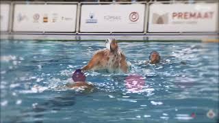 CNAB Video waterpolo 2019