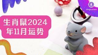 2024年11月属鼠人运势 属鼠2024年11月运程#生肖鼠 #2024年运势 #11月运势 #属鼠运势