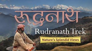 #rudranathtrek रुद्रनाथ यात्रा - Nature's Splendid Views #panchkedar #mahadev #himalayantrek #hiking