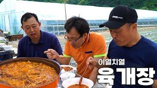 얼큰하게 끓인 육개장 [hot spicy meat stew]