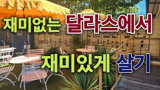 [미국살이]재미없는 달라스에서 재미있게 살기, 달라스 갈만한곳, 달라스가을 즐기기