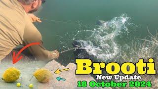 Mangla Brooti New Update 18 October 2024 | Mangla Dam Fishing | Feeder Fishing | ADIL