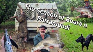 BOARS!, BARRA!! annnnnd squid? 2 EPIC Hunts and an UNREAL 1st Day of Barra Season!!!!!!!