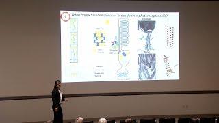 2016 Three Minute Thesis Finalist - Ying Hsu