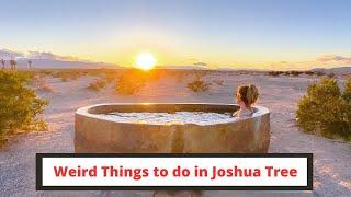 Weird Things to do in Joshua Tree