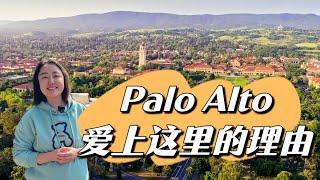 Unveiling the Essence of Palo Alto