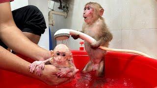 Bibi helps dad bathe Lala and gets special care from dad!