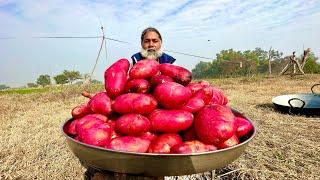 Red Potatoes Recipe, Potatoes French Fries | Coriander Mint And Green Chilli Potato Fries| Mubarak