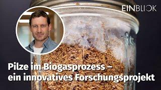 DBFZ Einblick: Pilze im Biogasprozess – ein innovatives Forschungsprojekt