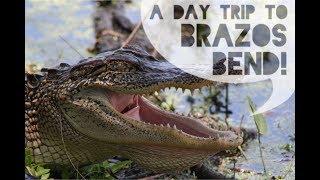 Day Trip to Brazos Bend