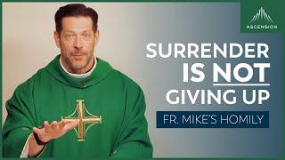 "True Surrender" | 12th Sunday in Ordinary Time (Fr. Mike's Homily) #sundayhomily