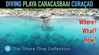 Diving Playa Caracasbaai Curaçao | The Shore Dive Collection | TropicLens   4K