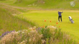 Der Golfplatz - natürlich artenreich!