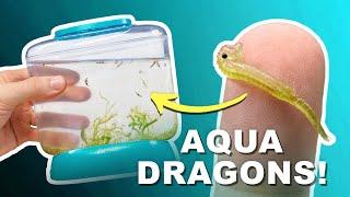 Aqua Dragons Deluxe Underwater World | Unboxing & Review!