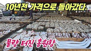 역대급 물량! 작년대비 짝당 10만원 다운~ 중국 상인들까지 몰려든다는 생생한 경매현장!