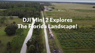 DJI Mini 2 Explores The Florida Landscape!