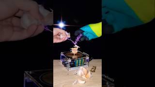  Mix: garlic + tesla coil #experiment #vegetables #physics