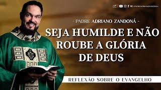 Homilia Diária - Palavra do Dia - Liturgia do Dia